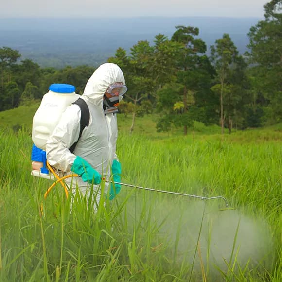 Agricultura y Ganadería