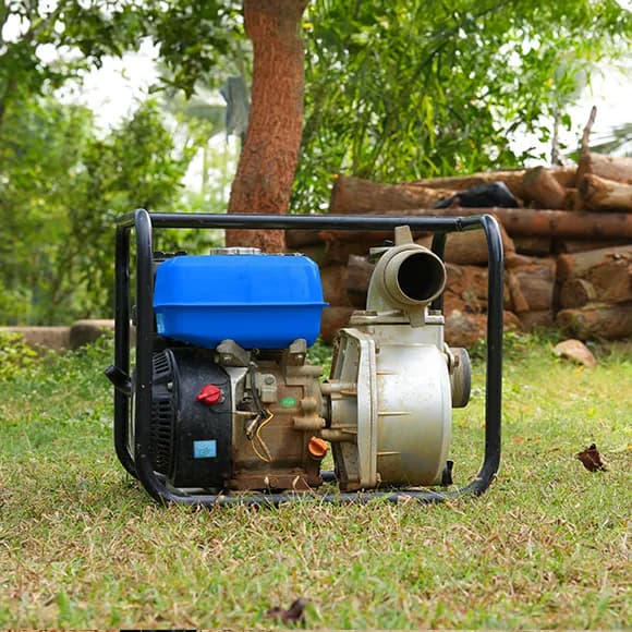 Empresas Agroindustriales